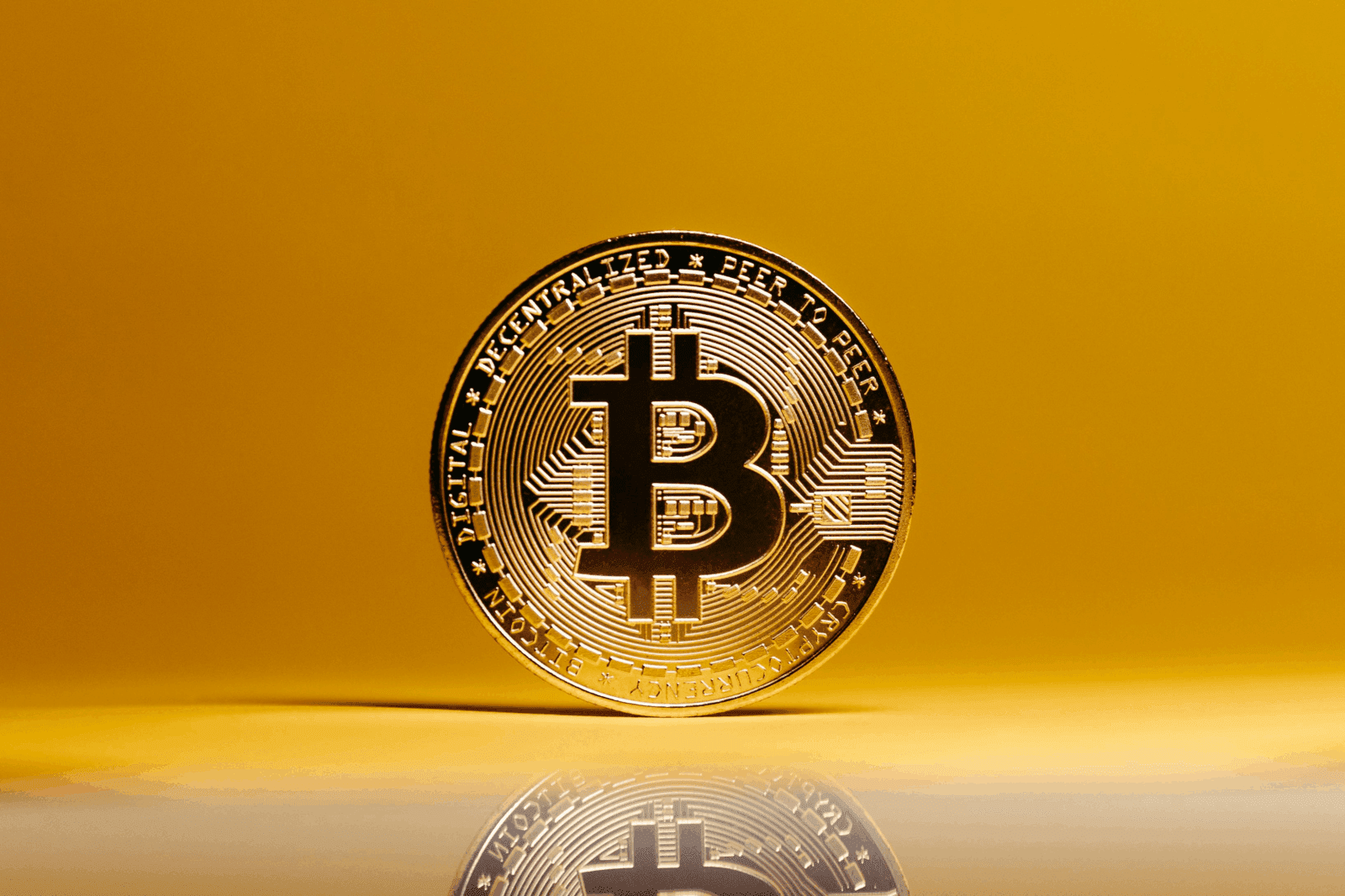 Which Rollup Service Is Best For Blockchain Projects