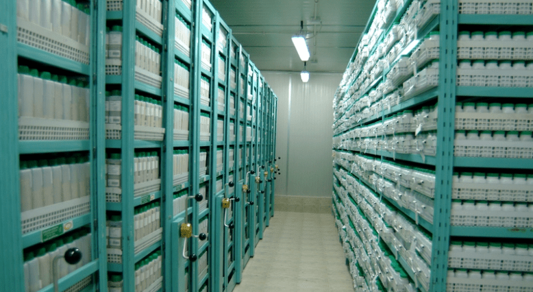 Use Cold Storage for Large Holdings