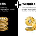 Wrapped Bitcoin vs. Bitcoin: Key Differences Explained