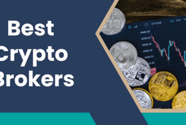 Best Crypto-Friendly Forex Brokers for Beginners in 2025