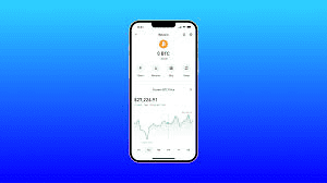 Risks of Storing Large Amounts in Trust Wallet