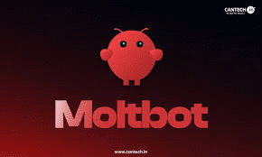 Moltbot