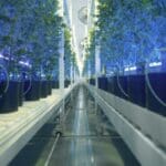 10 Best Automated Vertical Farming Systems for Small Business