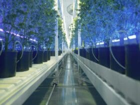 10 Best Automated Vertical Farming Systems for Small Business