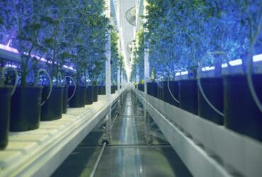10 Best Automated Vertical Farming Systems for Small Business