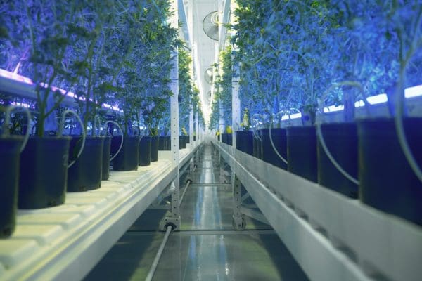 10 Best Automated Vertical Farming Systems for Small Business