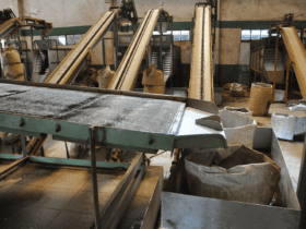 10 Top AI Sorting & Grading Machines for Small Farms