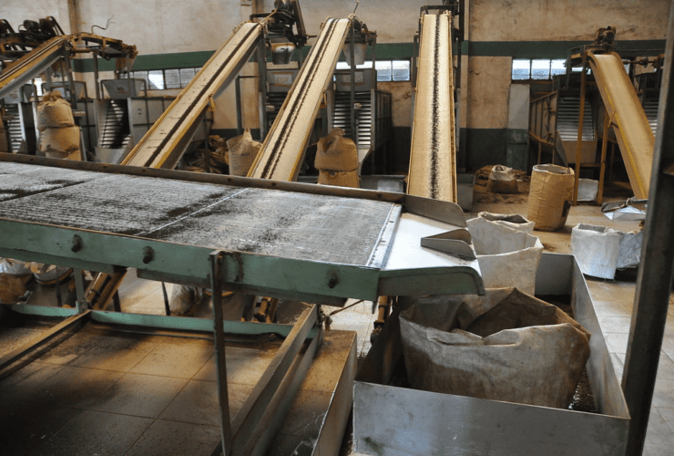 10 Top AI Sorting & Grading Machines for Small Farms