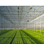 10 Best Carbon Offset Verification Software for Farm Credits