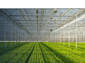 10 Best Carbon Offset Verification Software for Farm Credits