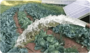 Drip Irrigation Solar Pumps