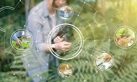 10 Best AI IoT Soil Sensors for Large Farms In 2026 Guide