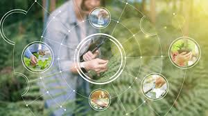 10 Best AI IoT Soil Sensors for Large Farms In 2026 Guide