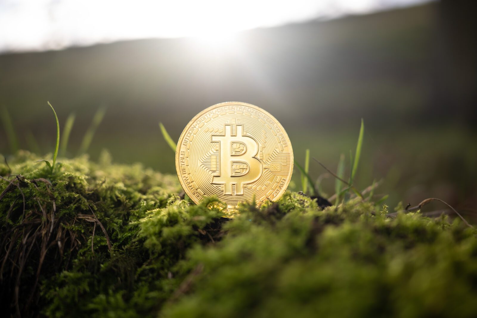 10 Top Crypto Executive Branding Agencies for Web3