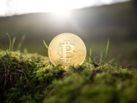 10 Top Crypto Executive Branding Agencies for Web3