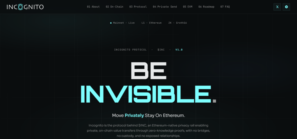 Incognito Chain (pNetwork)